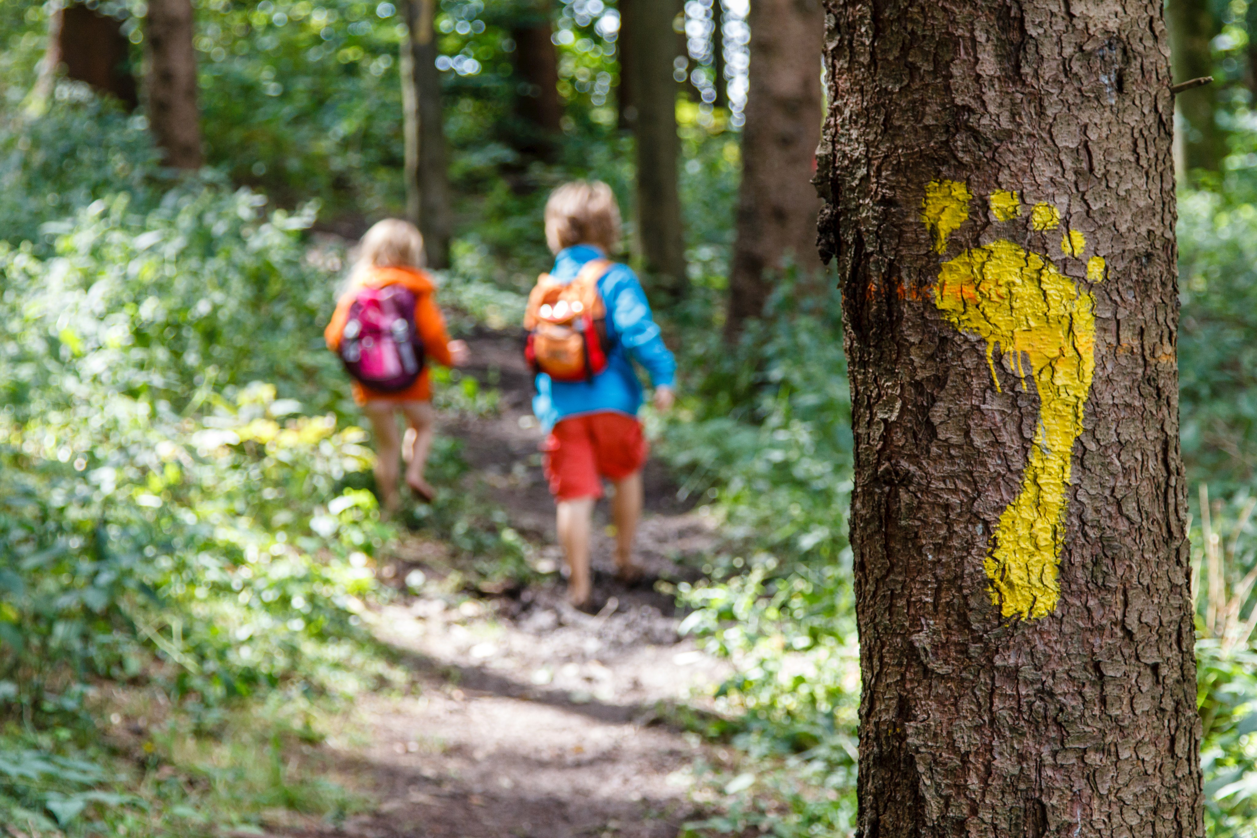 Mit allen Sinnen die Welt entdecken mit dem Barfußweg