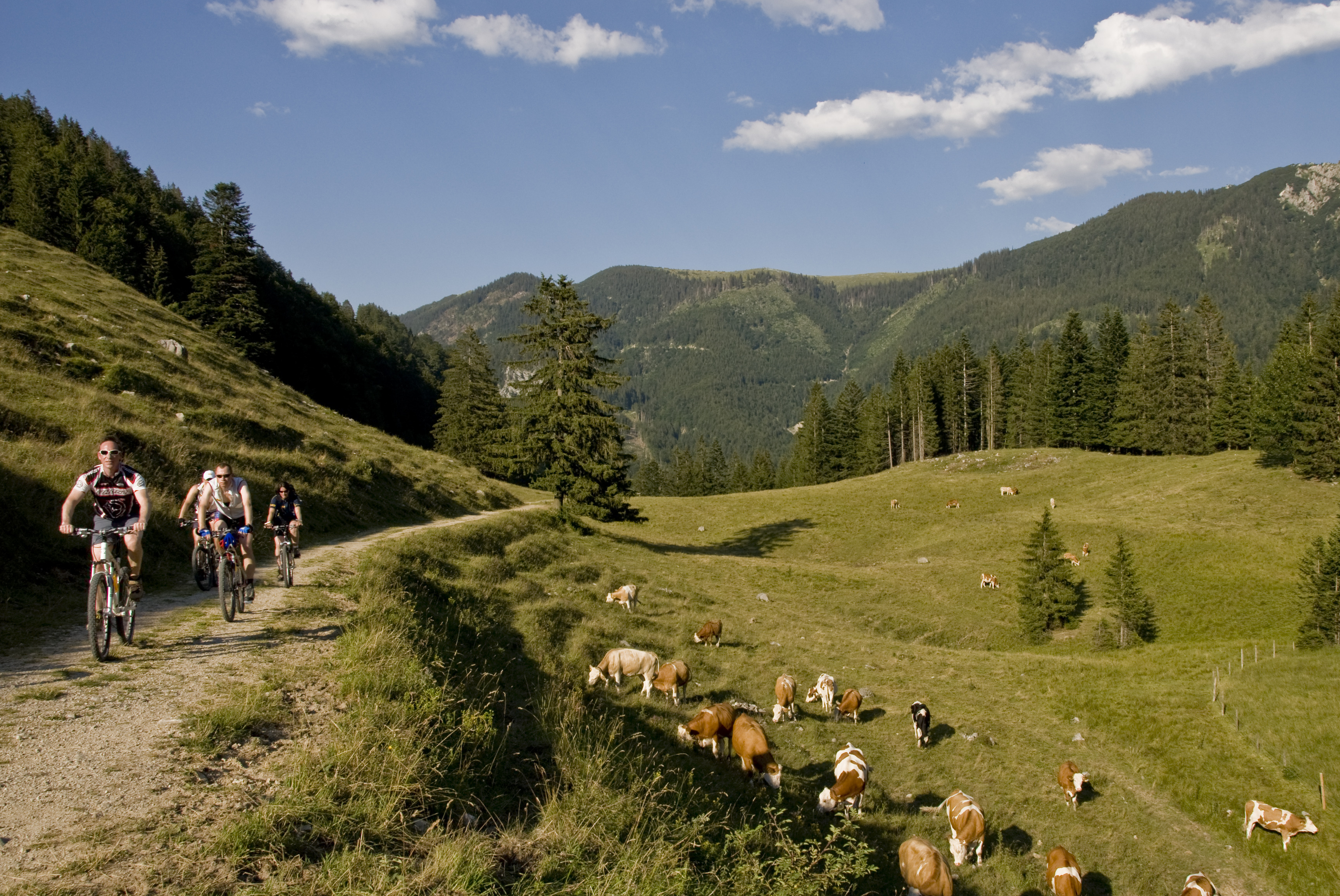 Eine Mountainbiketour auf unseren Radwegen